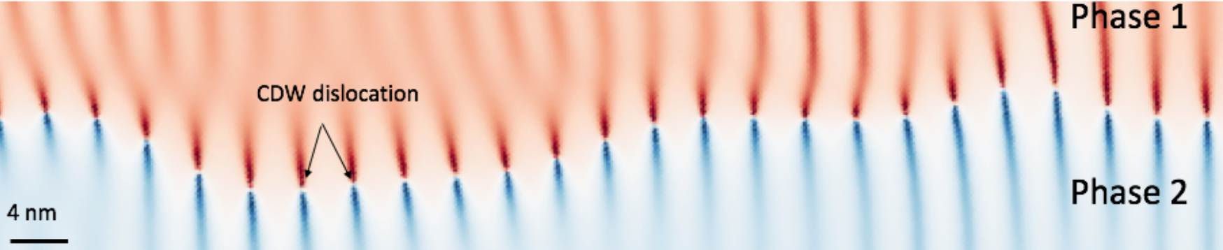Metastable charge density wave domains in a 2D material